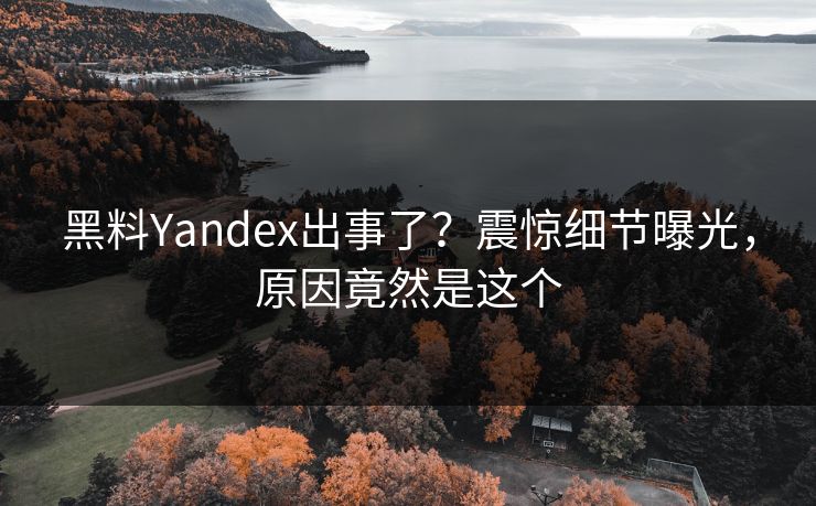 黑料Yandex出事了？震惊细节曝光，原因竟然是这个