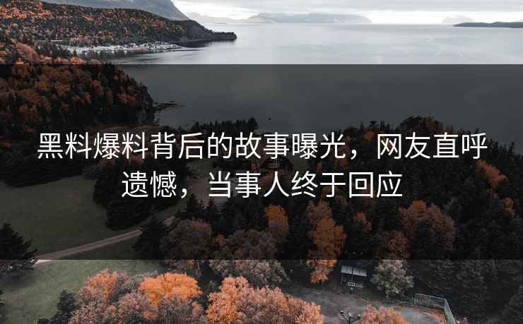 黑料爆料背后的故事曝光，网友直呼遗憾，当事人终于回应