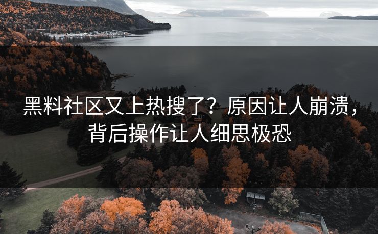 黑料社区又上热搜了？原因让人崩溃，背后操作让人细思极恐