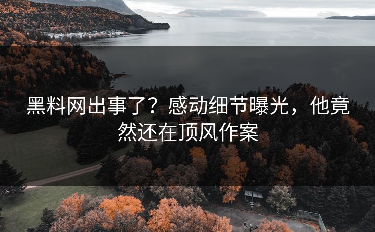 黑料网出事了？感动细节曝光，他竟然还在顶风作案