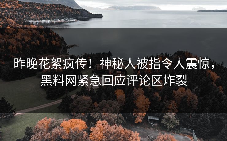 昨晚花絮疯传！神秘人被指令人震惊，黑料网紧急回应评论区炸裂