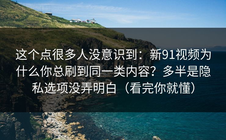这个点很多人没意识到：新91视频为什么你总刷到同一类内容？多半是隐私选项没弄明白（看完你就懂）