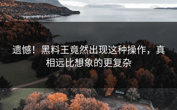遗憾！黑料王竟然出现这种操作，真相远比想象的更复杂