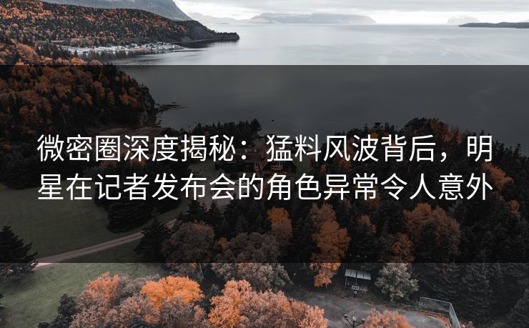 微密圈深度揭秘：猛料风波背后，明星在记者发布会的角色异常令人意外