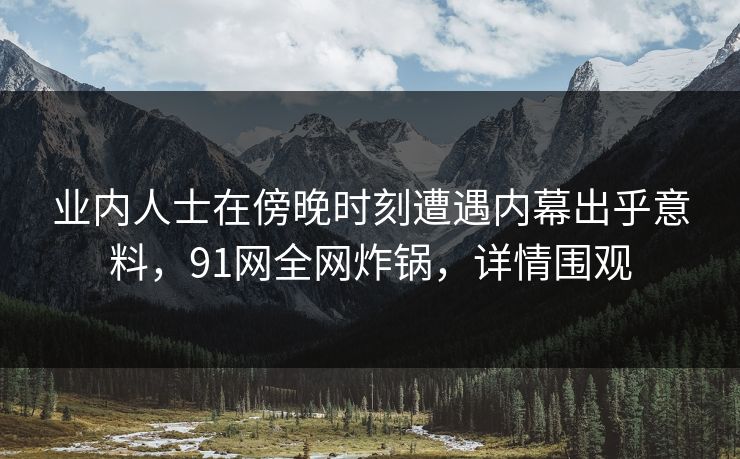 业内人士在傍晚时刻遭遇内幕出乎意料，91网全网炸锅，详情围观
